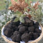 truffes noires du Berry