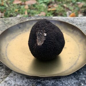 Truffe noire Berry 3 sens