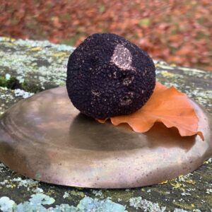 Truffe noire Berry 3 sens