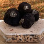 Truffe noire Berry 3 sens