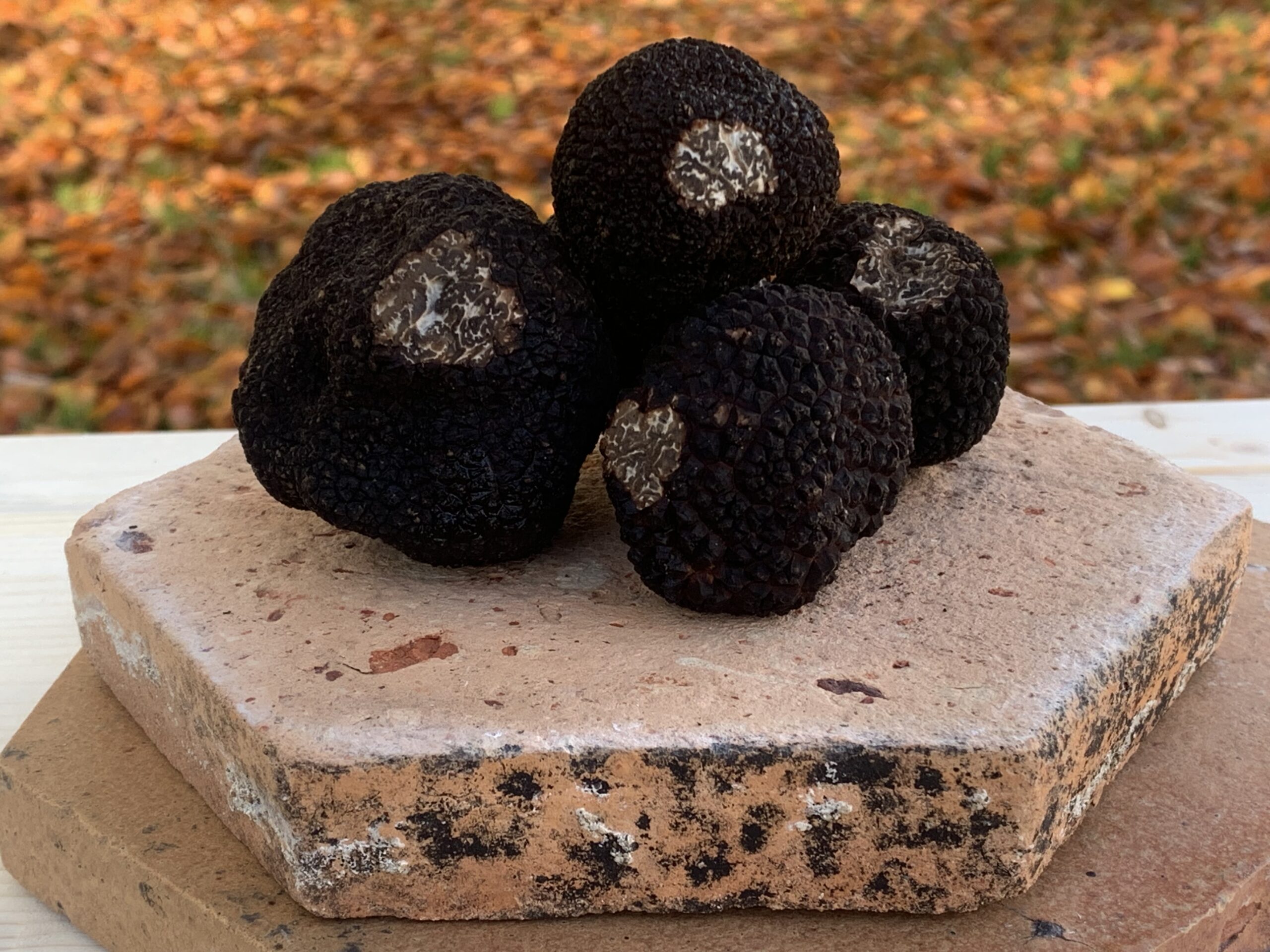 Truffe noire Berry 3 sens
